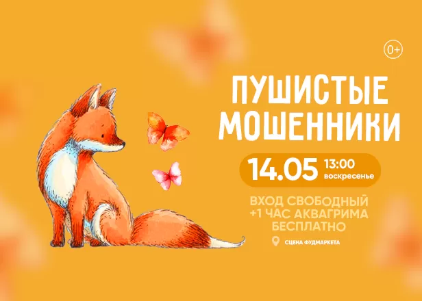 ПУШИСТЫЕ МОШЕННИКИ: НОВАЯ ПРОГРАММА