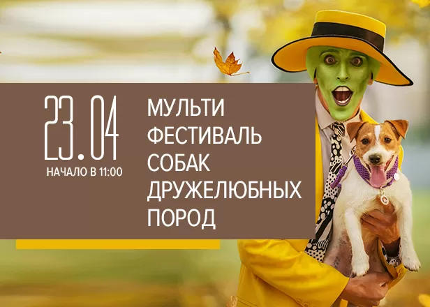 МУЛЬТИФЕСТИВАЛЬ СОБАК ДРУЖЕЛЮБНЫХ ПОРОД