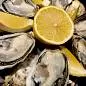 OYSTERS